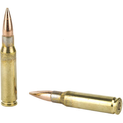 Fiocchi Ammo Shooting Dynamics 308 Win FMJ BT 150