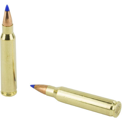 Fiocchi Ammo Exacta 223 Remington Hornady V-Max PT
