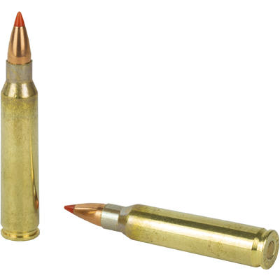 Fiocchi Ammo Exacta 223 Remington V-Max 50 Grain 5