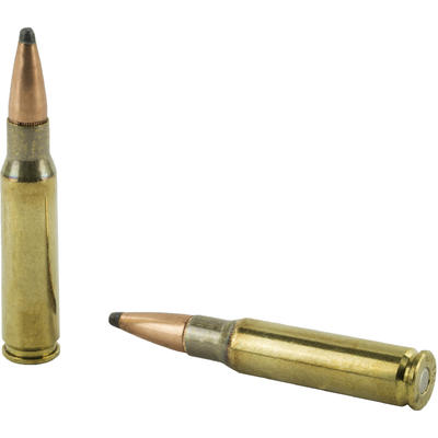 Fiocchi Ammo Shooting 308 Winchester BTSP 165 Grai