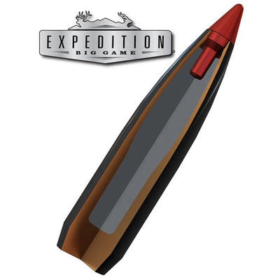 Winchester Ammo Expedition 300 Win Mag 190 Grain A