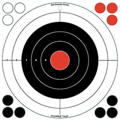 Birchwood Casey Dirty Bird 12" Shooting Targets Large Bullseye 12 Pack # 35012