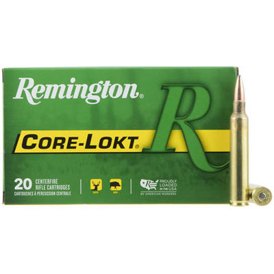 Remington Ammo Core-Lokt 300 RUM 180 Grain Core-Lo