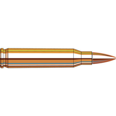 Frontier Cartridge Ammo 5.56x45mm (5.56 NATO) 55 G