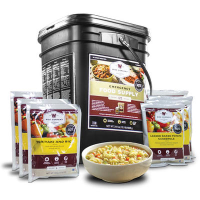 Wise Foods Grab and Go Bucket Freeze Dried Meat w/