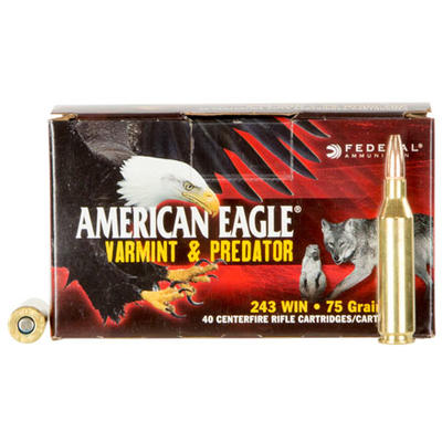 Federal Ammo American Eagle 243 Winchester 75 Grai
