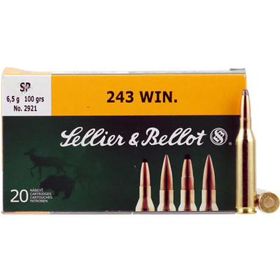 Magtech Ammo Hunting Rifle 243 Win. 100 Grain 20 R