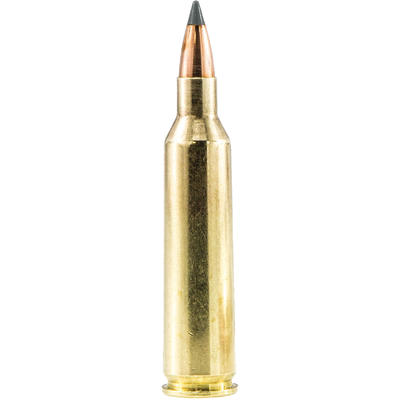 Sig Sauer Ammo Hunting 243 Winchester 55 Grain HP