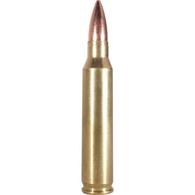 Armscor Ammo 223 Remington 62 Grain FMJ 20 Rounds