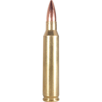 Armscor Ammo 223 Remington 55 Grain FMJ 20 Rounds Armscor Ammo 223 Remington 55 Grain FMJ 20 Rounds