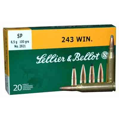 Magtech Ammo Hunting Rifle 243 Win. 100 Grain 20 R