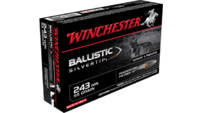 Winchester Ammo Supreme 243 Winchester 55 Grain Si