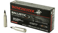 Winchester Ammo Supreme 22-250 Rem Silvertip 55 Gr