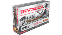 Winchester Ammo XP 243 Winchester 85 Grain EP Lead