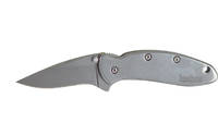 Kershaw Chive 1.938" Assisted Folding Knife C