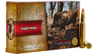 Norma Ammo Amer PH 30-06 Springfield 170 Grain Tip